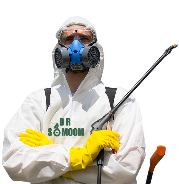 باقیمانده سموم در میوه و سبزیجات