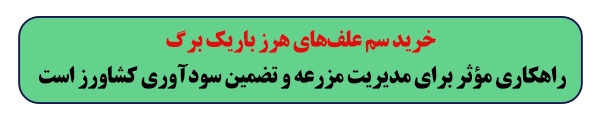 خرید سم علفهای هرز باریک برگ