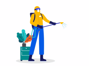 دکتر سموم خرید سم کرم جگری (Cossus cossus) – محافظت از باغ گردوی شما