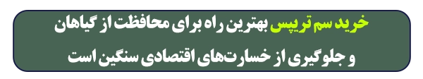 سم تریپس را از دکتر سوموم بخرید