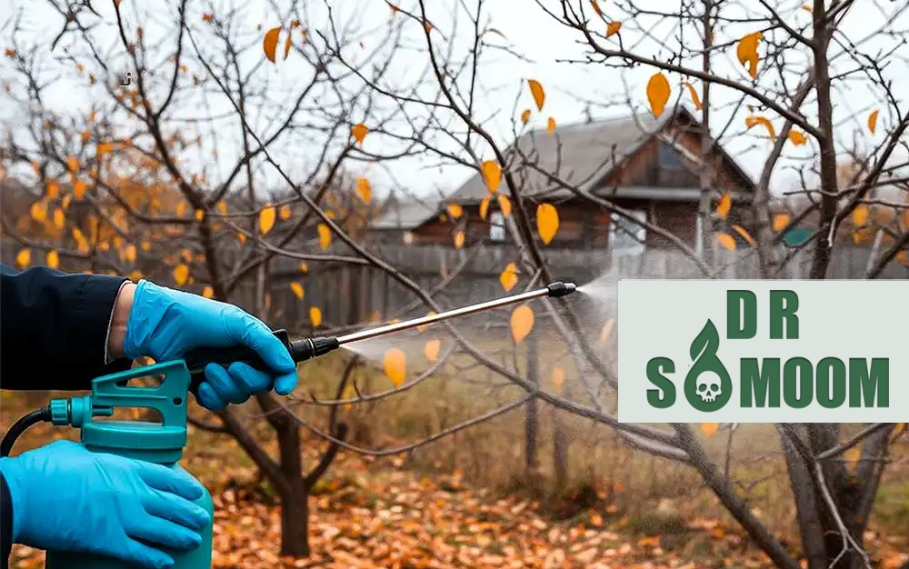 آفات پاییزی کشاورزی