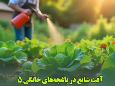 ۵ آفت شایع در باغچه‌های خانگی و روش‌های کنترل ساده آن‌ها