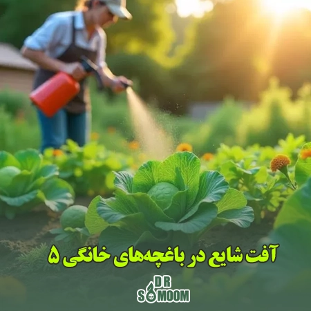 ۵ آفت شایع در باغچه‌های خانگی و روش‌های کنترل ساده آن‌ها