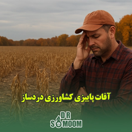 آفات پاییزی کشاورزی دردساز